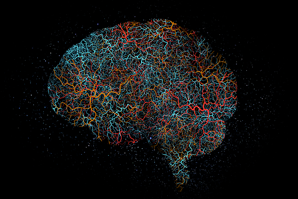 University Hospitals 2025 Stroke Update & 18th Neuroscience Nursing Symposium Banner